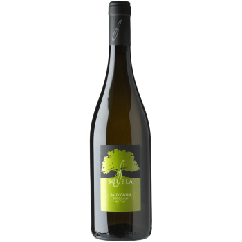 Sauvignon Friuli Colli Orientali DOC 2022, Scubla (75cl)