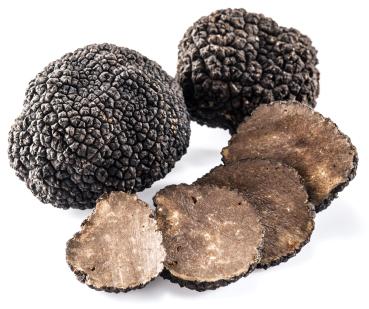 Schwarzer Trüffel Bagnoli Irpino (Tuber mesentericum vitt.)