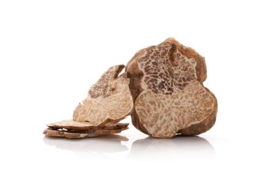 Frischer weisser Edeltrüffel (Tuber magnatum Pico)