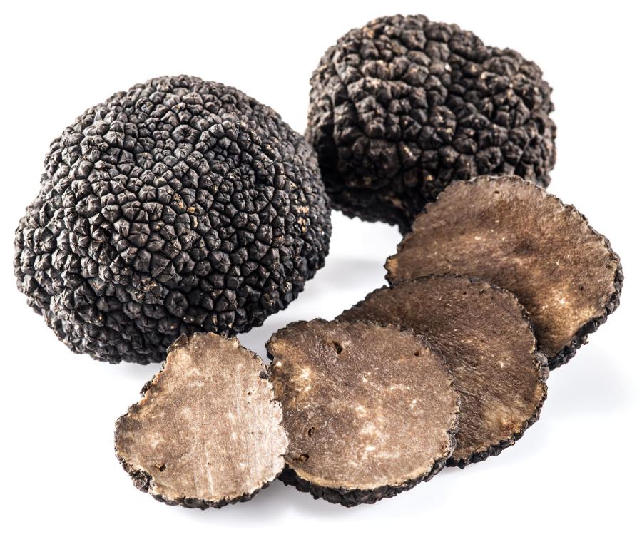 Schwarzer Trüffel Bagnoli Irpino (Tuber mesentericum vitt.)