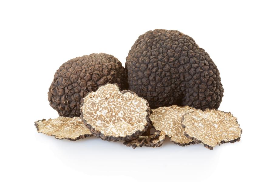 Frischer Herbsttrüffel (Tuber uncinatum)
